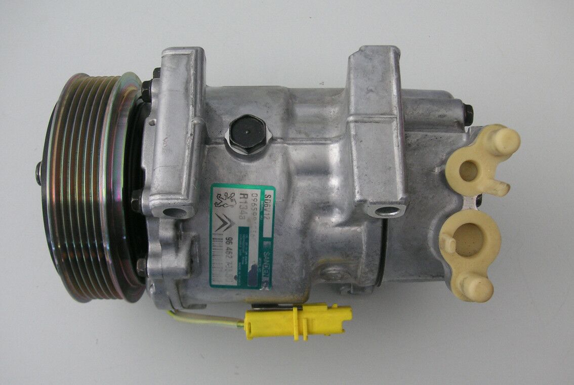 Kompresor 240239 sanden peugeot 307 1.6 `00-